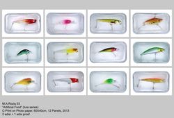 Artificial food (Lure Series)