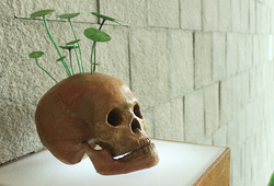 "Garden Of Delight" Installation View #3