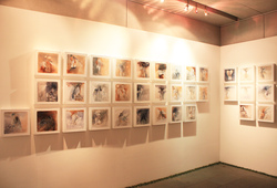 "Mid Life" Installation View #3