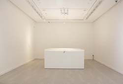 "Cosmology of Life" Installation View