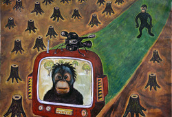 Orangutan on Real TV