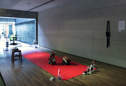Invisible Lines (installation View)