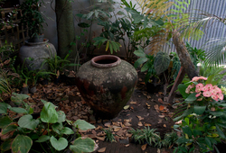 Secret Garden (1)