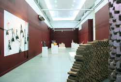 "Coefficient of Expansion" Installation View #3