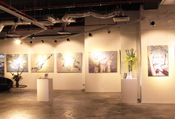 "Unification of Self" Installation View #4