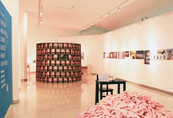 "The Life And The Chaos: Objects, Images And Words" installation view #10