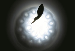 The Plans (R)evolution #3