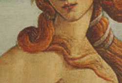 Portrait of Simonetta Cataneo Vespucci   