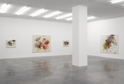 Exhibition View of Christine Ay Tjoe Show at White Cube