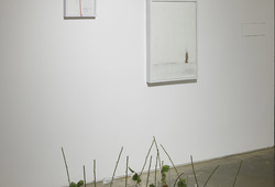 "The Man who Fell into Art: Collecting as A form of Personal Narrative" Installation View #10