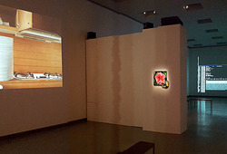 "Beyond Boundaries - Globalisation and Identity" Installation View #3