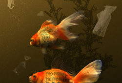 Two Goldfish