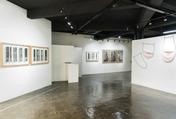 "I Too Am Untranslatable" Installation View #4