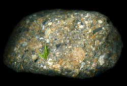 Meteor