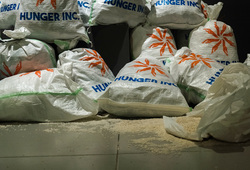 Hunger Inc (Detail View)