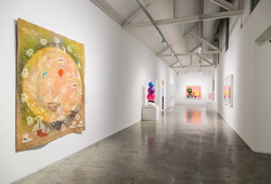 "Allegories & Identities" Installation View #2