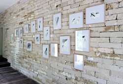 "An Attempt of Disappearing" Installation View
