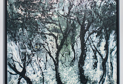 Hutan Berkapur