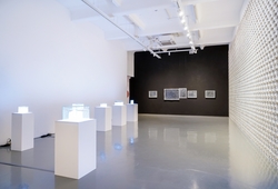 "Radiance" Installation View #1
