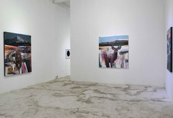 Peaceful Seeker #2 Installation View #3