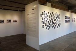 "After Documentation" Installation View #3