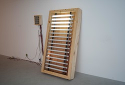 Acoustic Neon