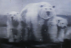 Save The Polar Bear