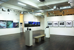 Installation View Kinez Riza #6