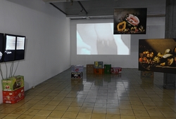Reconstructed Biotope Installation View