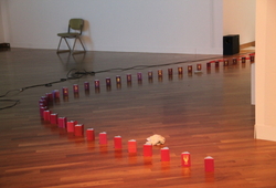 Installation View of Lure #4