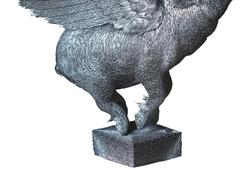 Flying Boar  