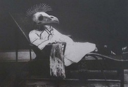 Bird Head No 3