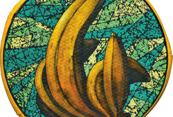 Fruit Series Banana