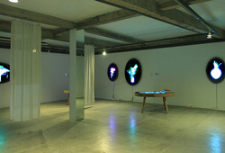 Ovalova Installation View #3
