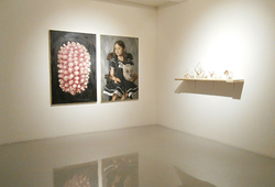 Beast/Bloom for Thee: Biota ETC Installation View #3