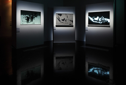 A Group Exhibition "Dojima River Osaka Biennale 2013"